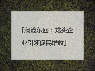 澜沧东回：龙头企业引领促民增收