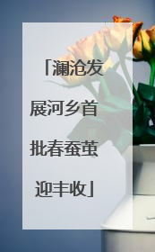 澜沧发展河乡首批春蚕茧迎丰收