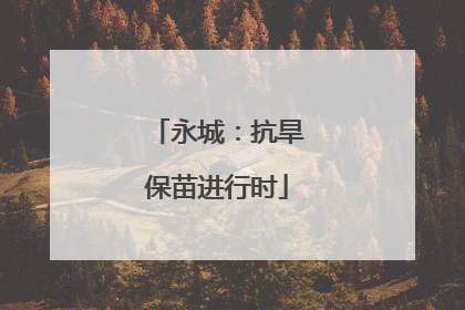 永城：抗旱保苗进行时