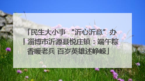 民生大小事 “沂心沂意”办丨淄博市沂源县悦庄镇：端午粽香暖老兵 百岁英雄述峥嵘