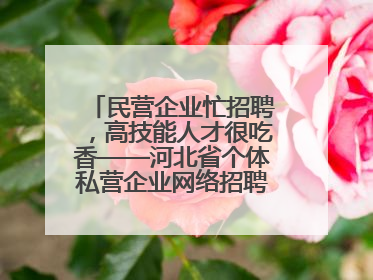 民营企业忙招聘，高技能人才很吃香——河北省个体私营企业网络招聘大会扫描