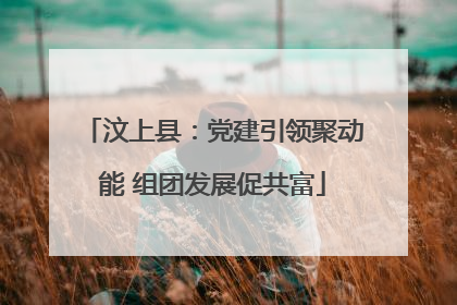 汶上县：党建引领聚动能 组团发展促共富