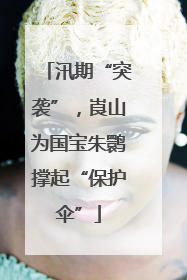 汛期“突袭”，崀山为国宝朱鹮撑起“保护伞”