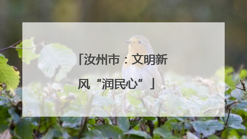 汝州市：文明新风“润民心”