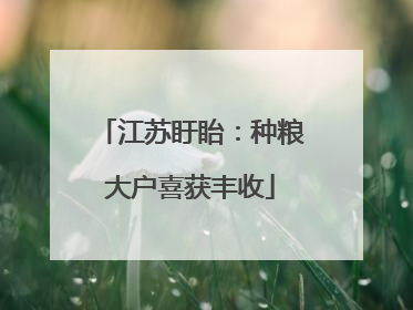 江苏盱眙：种粮大户喜获丰收