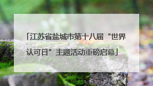 江苏省盐城市第十八届“世界认可日”主题活动重磅启幕