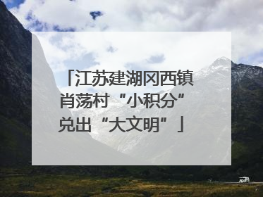 江苏建湖冈西镇肖荡村“小积分”兑出“大文明”