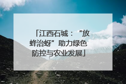 江西石城：“放蜂治蚜”助力绿色防控与农业发展