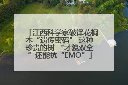 江西科学家破译花榈木“遗传密码” 这种珍贵的树 “才貌双全”还能抗“EMO”
