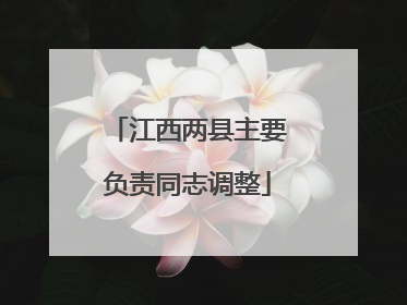 江西两县主要负责同志调整