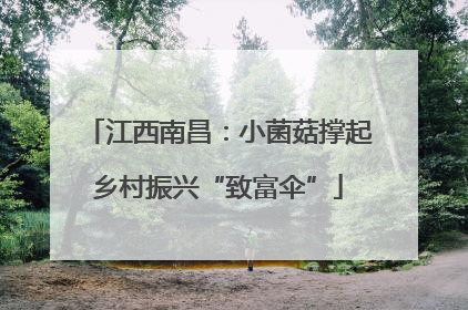 江西南昌：小菌菇撑起乡村振兴“致富伞”