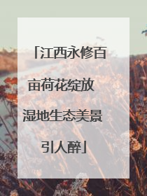 江西永修百亩荷花绽放 湿地生态美景引人醉