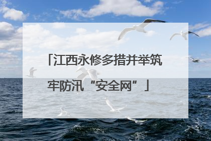 江西永修多措并举筑牢防汛“安全网”