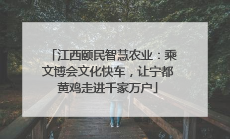 江西颐民智慧农业：乘文博会文化快车，让宁都黄鸡走进千家万户