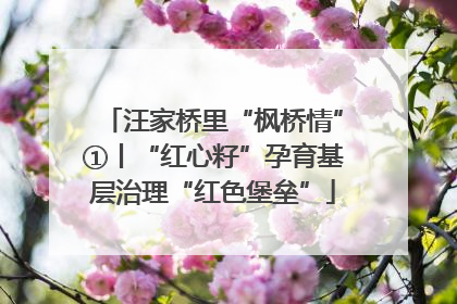 汪家桥里“枫桥情”①丨“红心籽”孕育基层治理“红色堡垒”