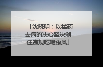 沈晓明：以猛药去疴的决心坚决刹住违规吃喝歪风