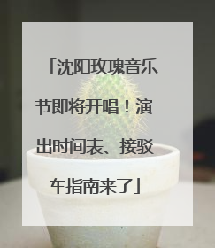 沈阳玫瑰音乐节即将开唱！演出时间表、接驳车指南来了