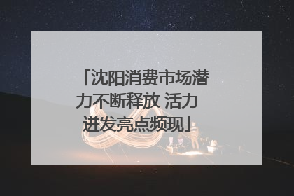 沈阳消费市场潜力不断释放 活力迸发亮点频现