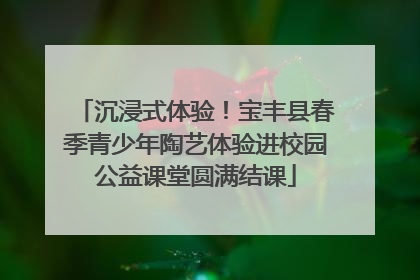沉浸式体验！宝丰县春季青少年陶艺体验进校园公益课堂圆满结课