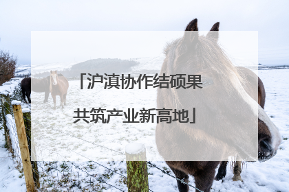 沪滇协作结硕果 共筑产业新高地