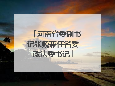 河南省委副书记张巍兼任省委政法委书记