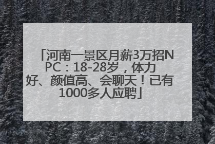 河南一景区月薪3万招NPC：18-28岁，体力好、颜值高、会聊天！已有1000多人应聘