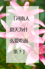 河南人夏天为什么爱吃面条？