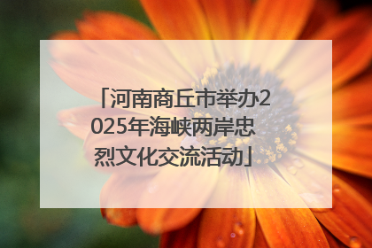 河南商丘市举办2025年海峡两岸忠烈文化交流活动