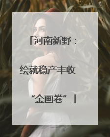 河南新野：绘就稳产丰收“金画卷”