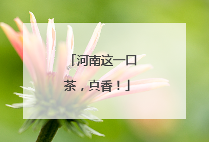 河南这一口茶，真香！