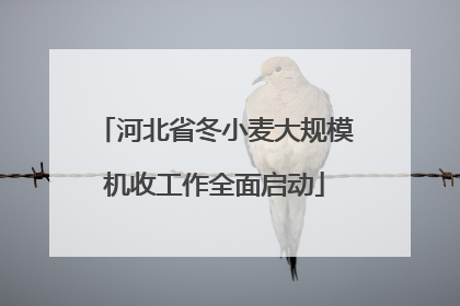 河北省冬小麦大规模机收工作全面启动