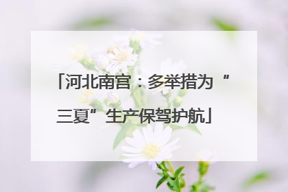 河北南宫：多举措为“三夏”生产保驾护航