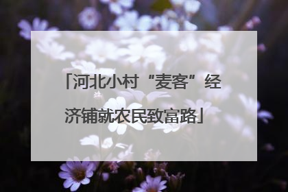 河北小村“麦客”经济铺就农民致富路