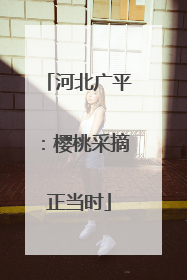 河北广平：樱桃采摘正当时