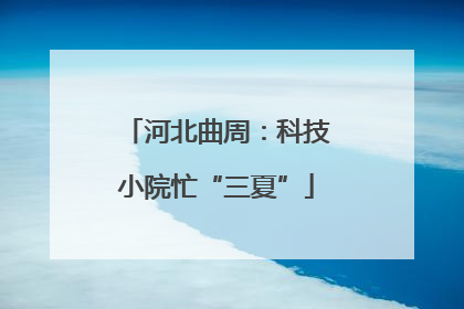 河北曲周：科技小院忙“三夏”