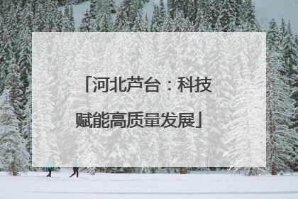 河北芦台：科技赋能高质量发展