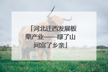 河北迁西发展板栗产业——绿了山间富了乡亲