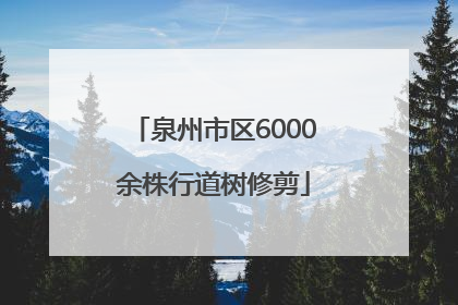 泉州市区6000余株行道树修剪