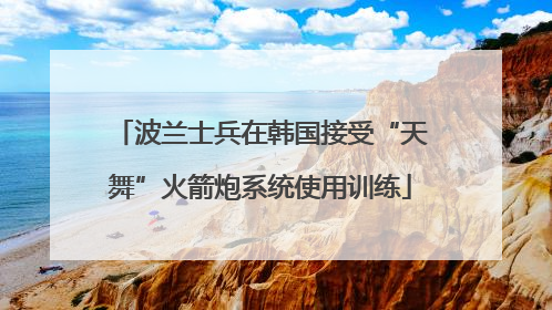 波兰士兵在韩国接受“天舞”火箭炮系统使用训练