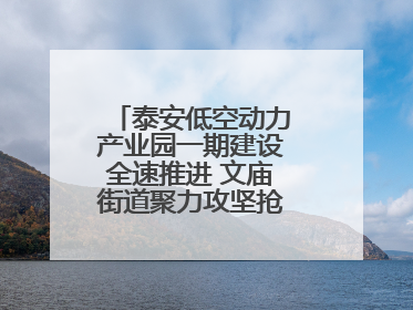泰安低空动力产业园一期建设全速推进 文庙街道聚力攻坚抢抓“进度条”