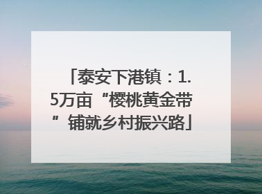 泰安下港镇：1.5万亩“樱桃黄金带”铺就乡村振兴路
