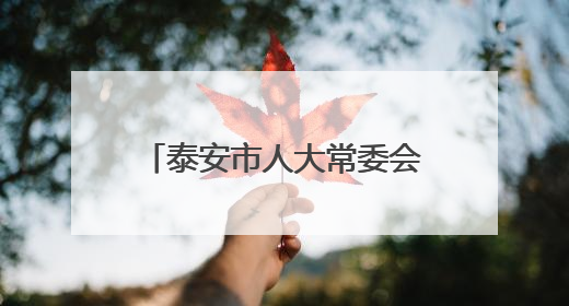 泰安市人大常委会凝聚代表力量赋能全过程人民民主