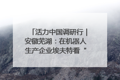 活力中国调研行｜安徽芜湖：在机器人生产企业埃夫特看“中国智造”