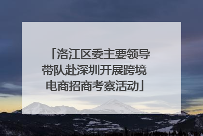 洛江区委主要领导带队赴深圳开展跨境电商招商考察活动