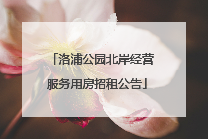 洛浦公园北岸经营服务用房招租公告