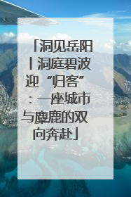 洞见岳阳丨洞庭碧波迎“归客”：一座城市与麋鹿的双向奔赴