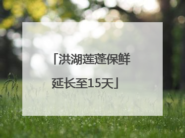 洪湖莲蓬保鲜延长至15天