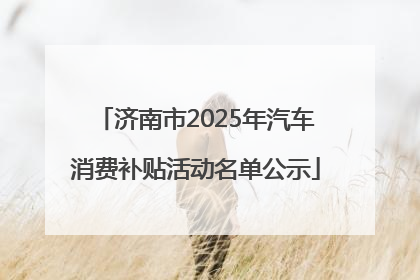 济南市2025年汽车消费补贴活动名单公示