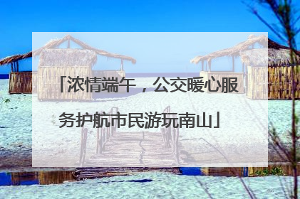 浓情端午，公交暖心服务护航市民游玩南山
