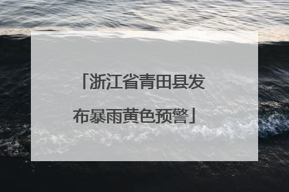 浙江省青田县发布暴雨黄色预警